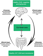 Frontiers | From the Bottom-Up: Chemotherapy and Gut-Brain Axis ...