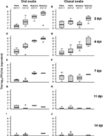 Frontiers | Potential Biological and Climatic Factors That Influence ...