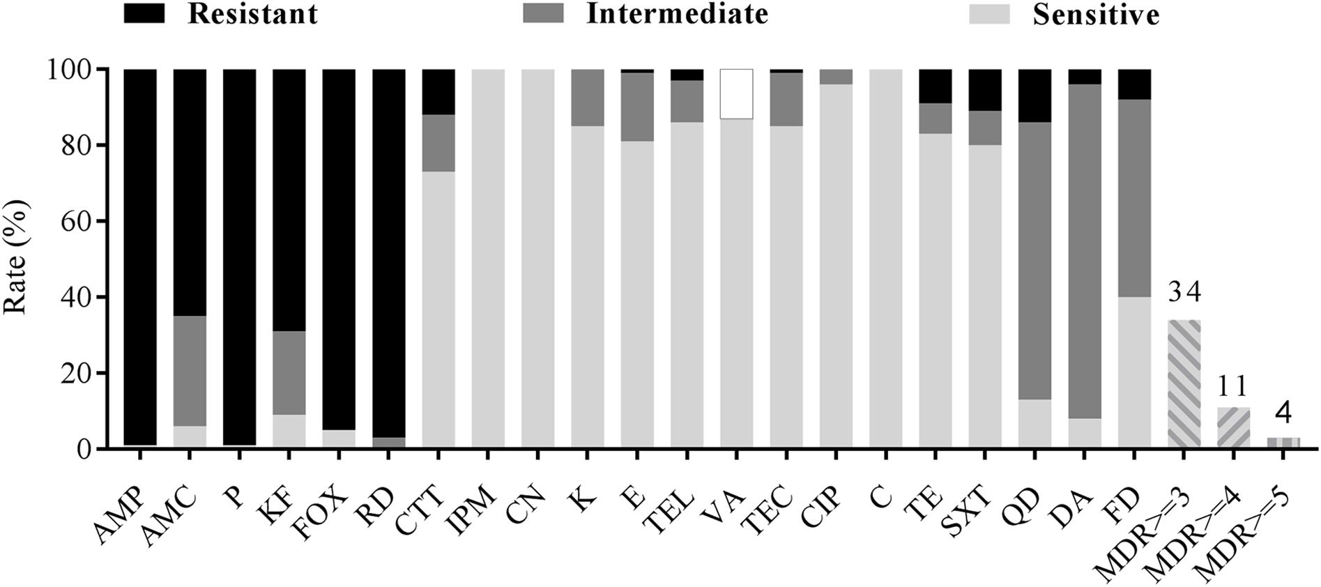 Frontiers Prevalence Virulence Genes Antimicrobial Susceptibility And Genetic Diversity Of Bacillus Cereus Isolated From Pasteurized Milk In China Microbiology