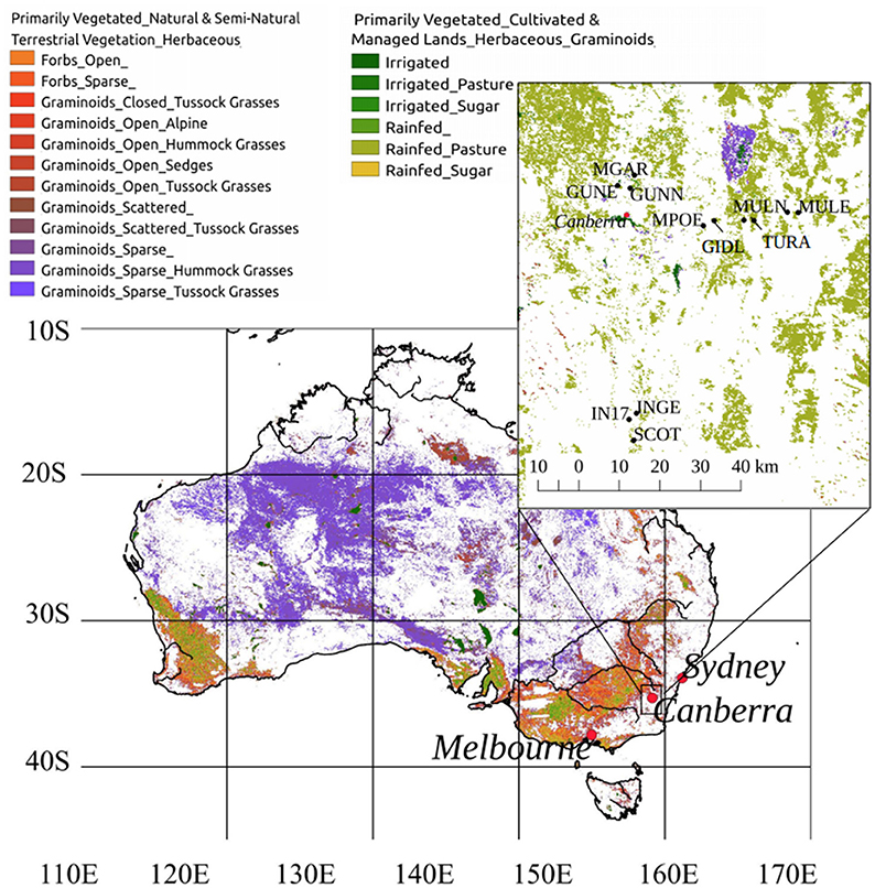 Frontiers | Multi-Scale Phenology of Temperate Grasslands: Improving ...