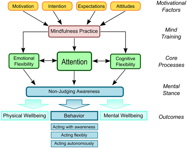 mindfulness research update 2008