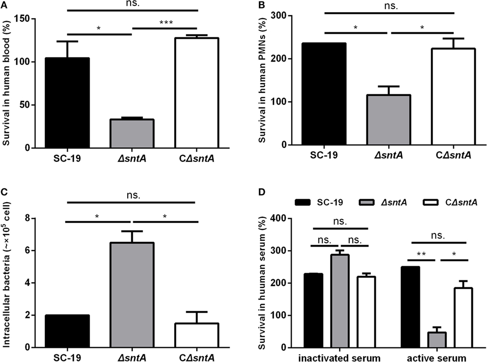 Frontiers | The Surface-Exposed Protein SntA Contributes to Complement ...