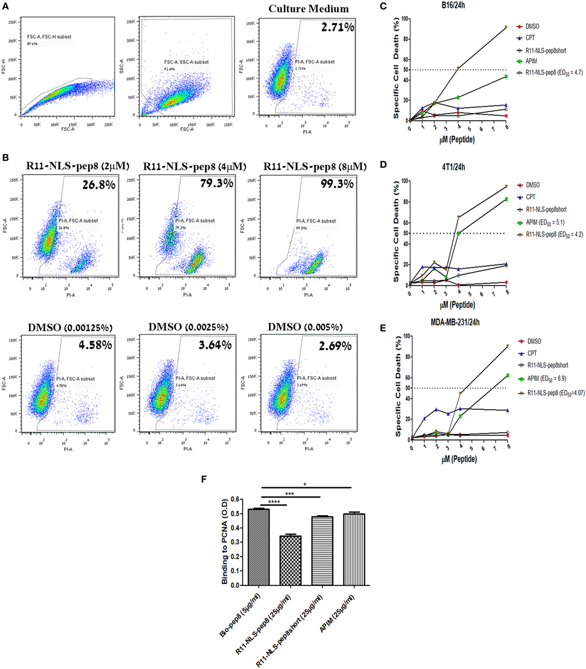 Frontiers | NKp44-Derived Peptide Binds Proliferating Cell Nuclear ...