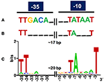 Frontiers | Mining Novel Constitutive Promoter Elements In Soil ...