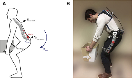 Design methodology of an active back-support exoskeleton with adaptable  backbone-based kinematics - ScienceDirect
