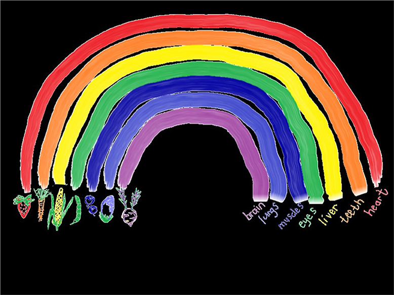 trace the coloured lines from the various fruits and vegetables