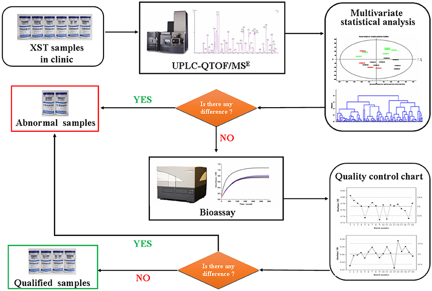 Frontiers Uplc Qtof Mse And Bioassay Are Available Approaches For Identifying Quality Fluctuation Of Xueshuantong Lyophilized Powder In Clinic Pharmacology