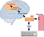 Frontiers | HMGB1: A Common Biomarker and Potential Target for TBI ...