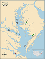 Frontiers | High Grazing Rates on Cryptophyte Algae in Chesapeake Bay ...