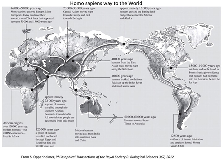 Figure 5 - Homo sapiens traveled in the world at various periods as shown on the map.