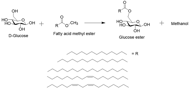 Frontiers Integrated Process For The Enzymatic Production Of Fatty