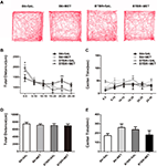 Frontiers | Metformin Administration During Early Postnatal Life ...