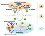 Frontiers | P62-Keap1-NRF2-ARE Pathway: A Contentious Player For ...