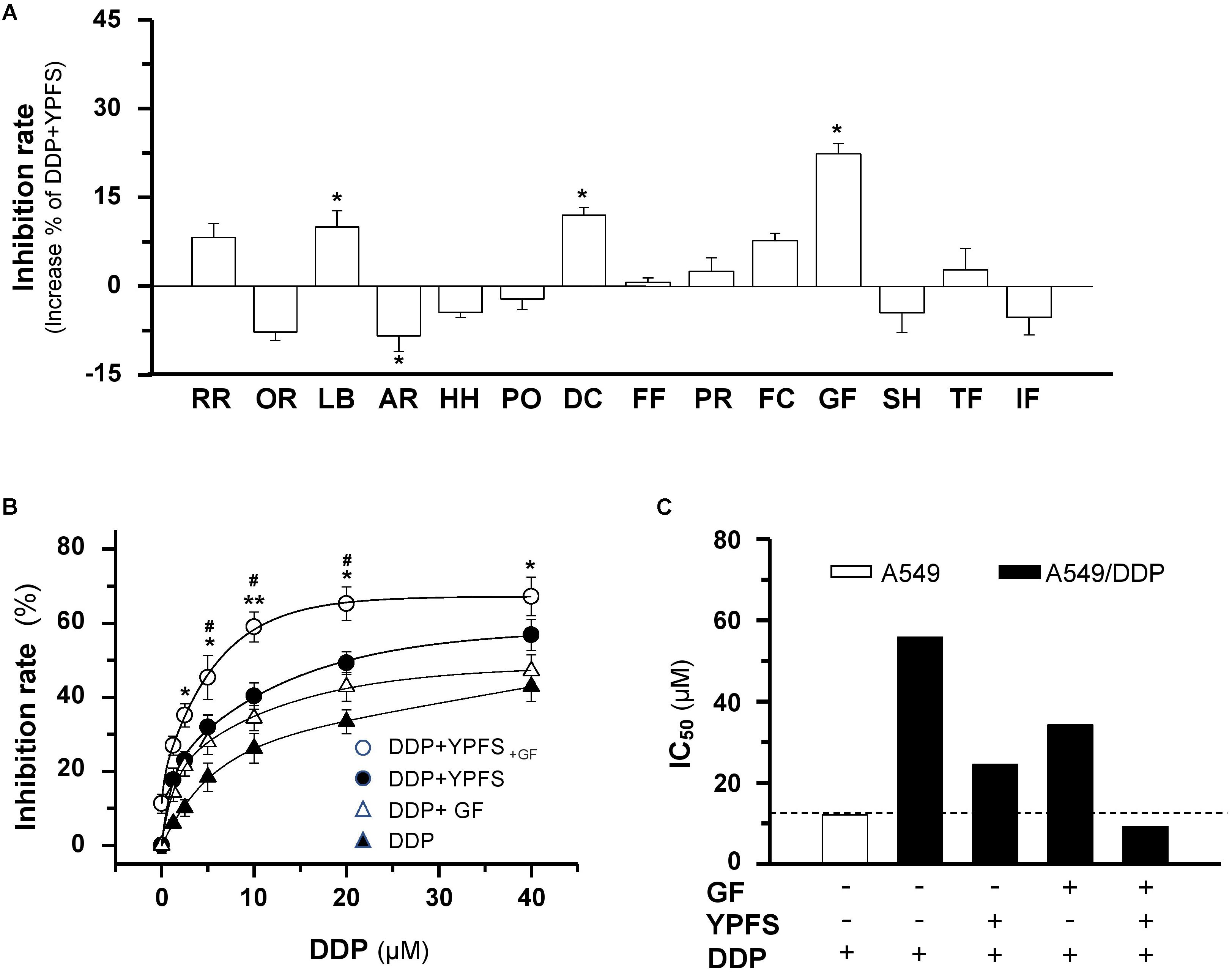 Frontiers | The WT1/MVP-Mediated Stabilization on mTOR/AKT Axis 