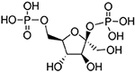 Frontiers | Fructose 2,6-Bisphosphate in Cancer Cell Metabolism | Oncology