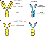 Frontiers | Perspectives for the Development of CD38-Specific Heavy ...