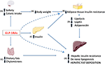 Frontiers | Future Perspectives on GLP-1 Receptor Agonists and GLP-1 ...