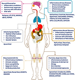 Frontiers | Phosphodiesterase-4 Inhibitors for the Treatment of ...