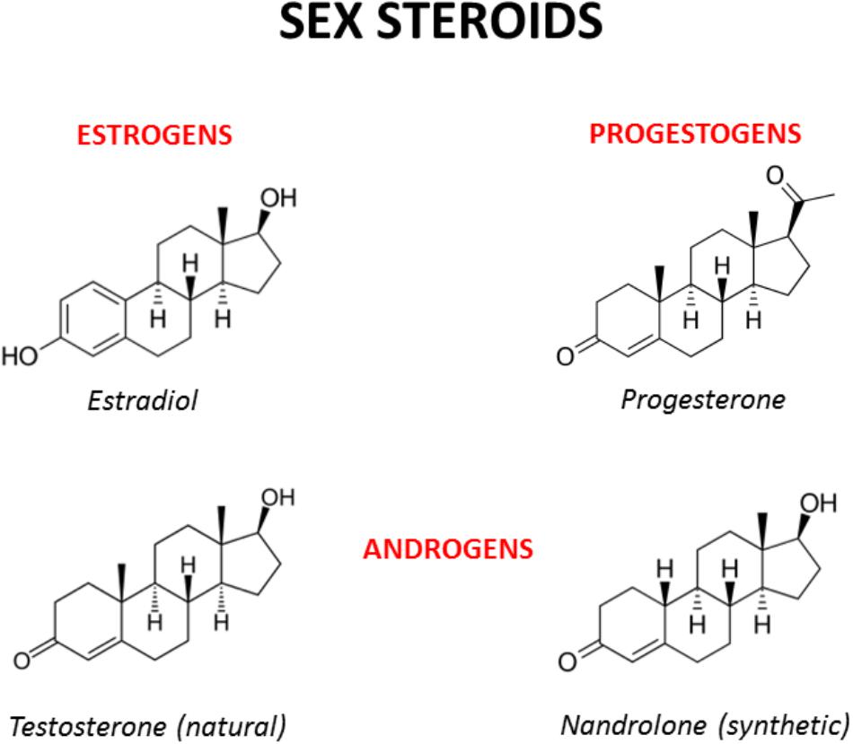 steroid cross reactivity chart