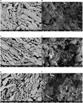 Frontiers | Optimizing Hemp Fiber Production For High Performance ...