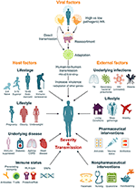 Frontiers | Back To The Future: Lessons Learned From The 1918 Influenza ...