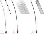 Frontiers | Numerical Simulation of an Intramedullary Elastic Nail ...