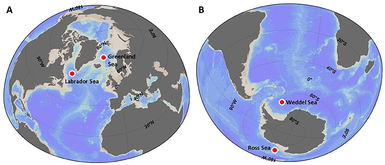 شكل2 - (A)تُسحبالمياهالسطحيةفينصفالكرةالشماليإلىأعماقالمحيطفيبحريغرينلاندولابرادور。