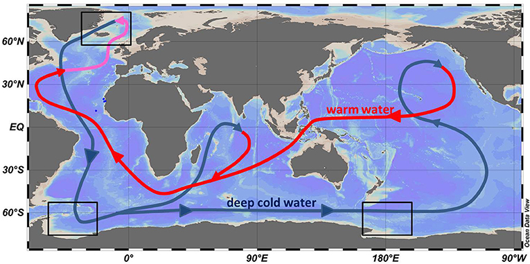 شكل3 -وبعدأنتمتصالمياهالأكسجينمنالهواءفيالمناطقالقطبية،تبدأرحلتهافيأعماقالمحيط(الخطوطالزرقاء)،حيثتمرعبرالمحيطاتالأطلسيوالهنديوالهادي。