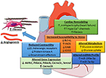 Frontiers | Recent Developments on the Crosstalk Between STAT3 and ...