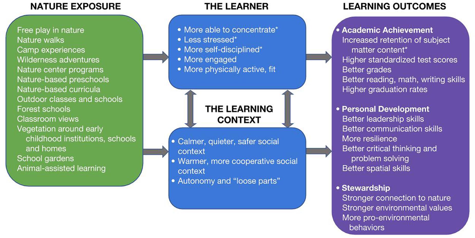 Learning Organisation: Nature, Advantages, Need and Methods