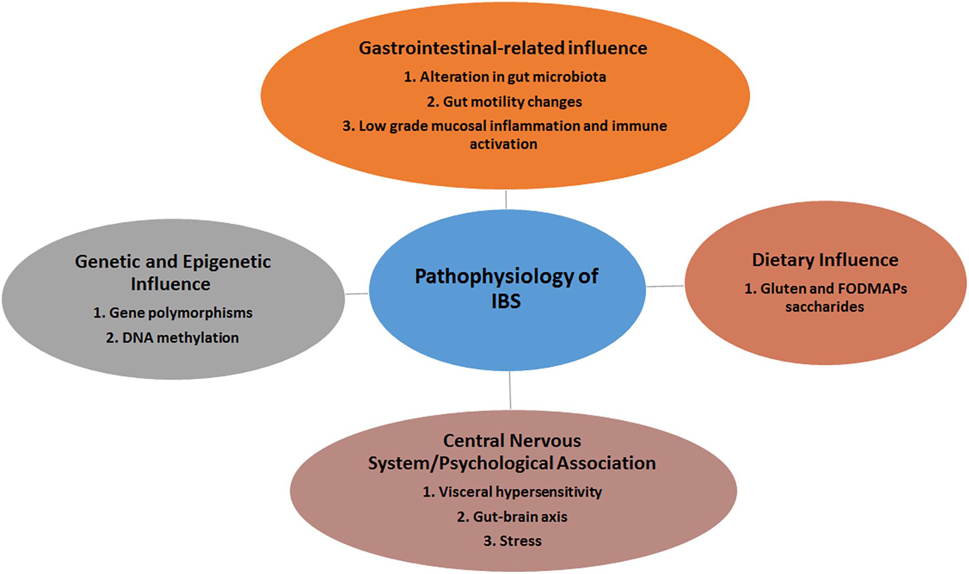 Frontiers The Microbiome and Irritable Bowel Syndrome A Review on