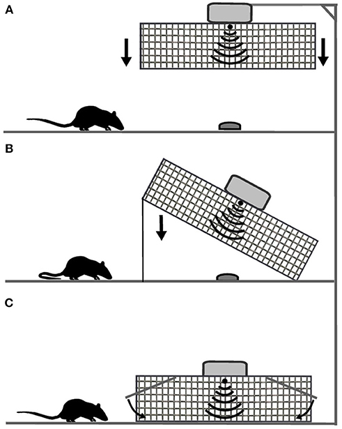 Do you think using snap-traps (killing mouse traps) should be fobidden in  small mammal research?