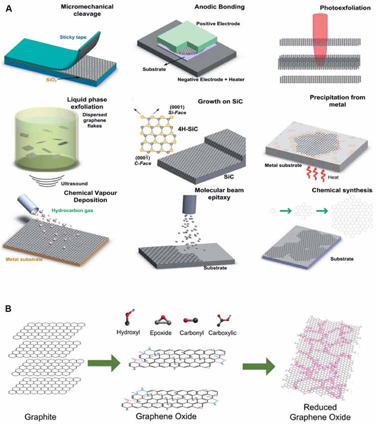 Frontiers Graphene Based Nanomaterials From Production To Integration With Modern Tools In Neuroscience Frontiers In Systems Neuroscience