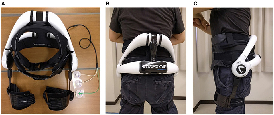 Passive back support exoskeleton: In the elastic spinal module