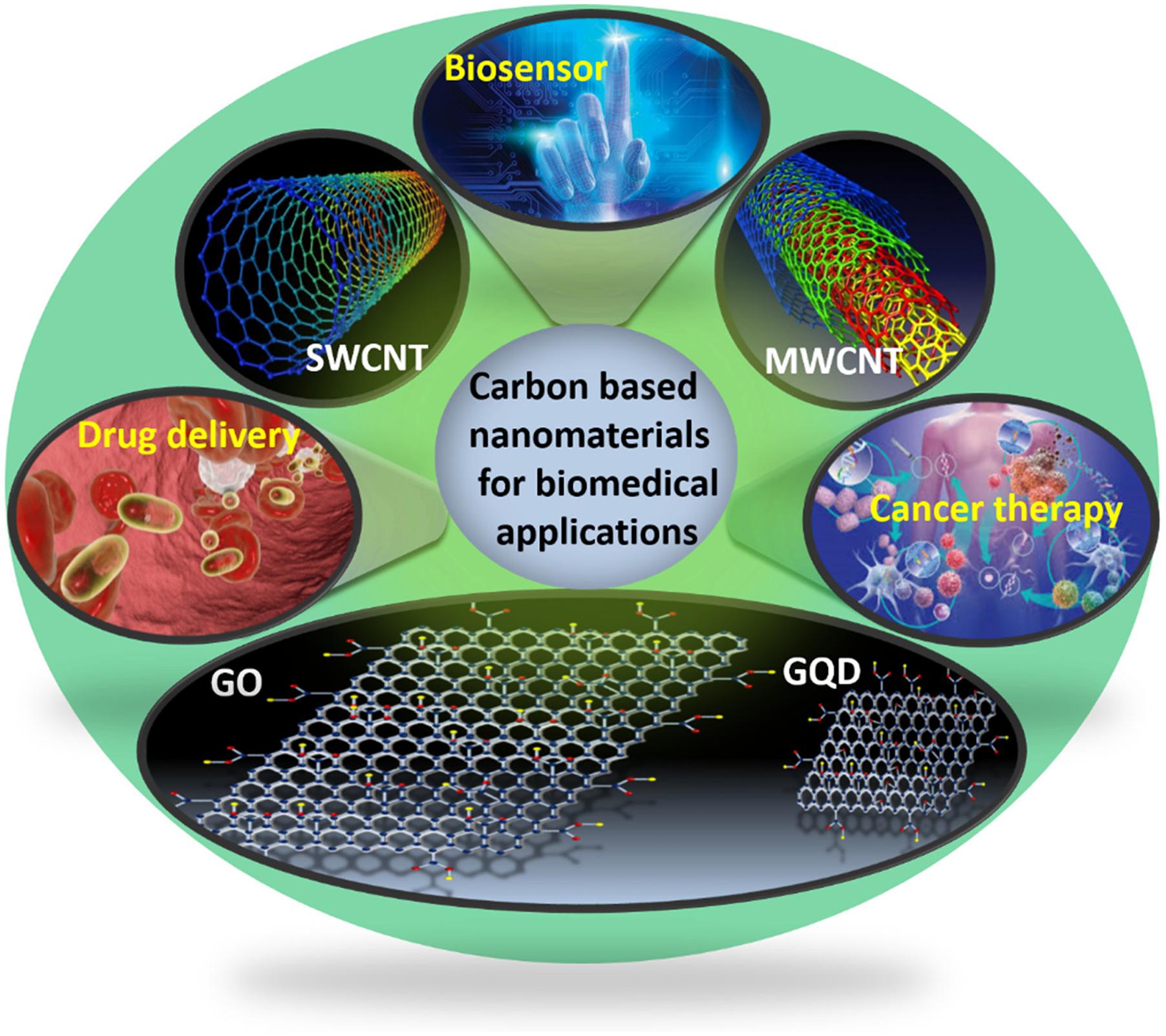 Frontiers CarbonBased Nanomaterials for Biomedical Applications A
