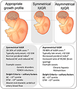 Frontiers | Knowledge Gaps and Emerging Research Areas in Intrauterine ...