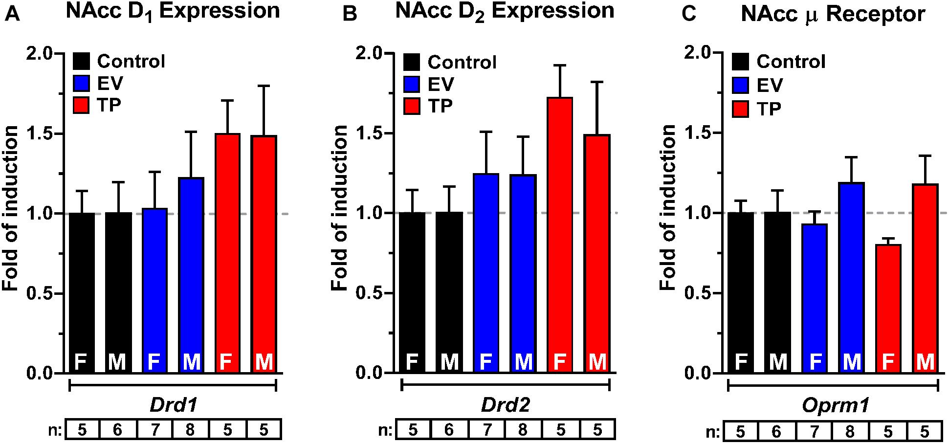 Frontiers Programming Of Dopaminergic Neurons By Early Exposure To