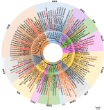 Frontiers | Identification and Expression Analysis of GRAS