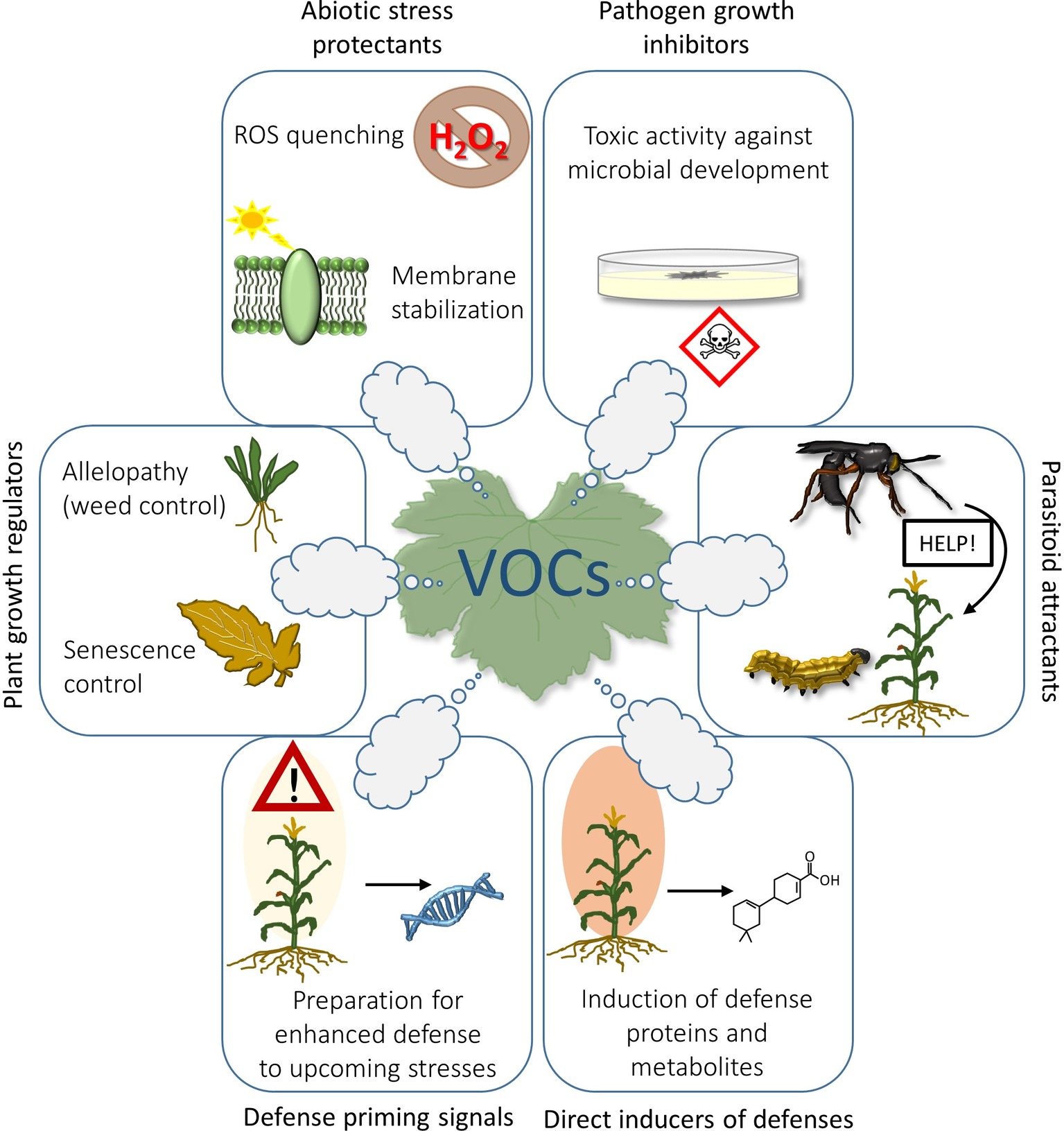 ACP - Variations and sources of volatile organic compounds (VOCs