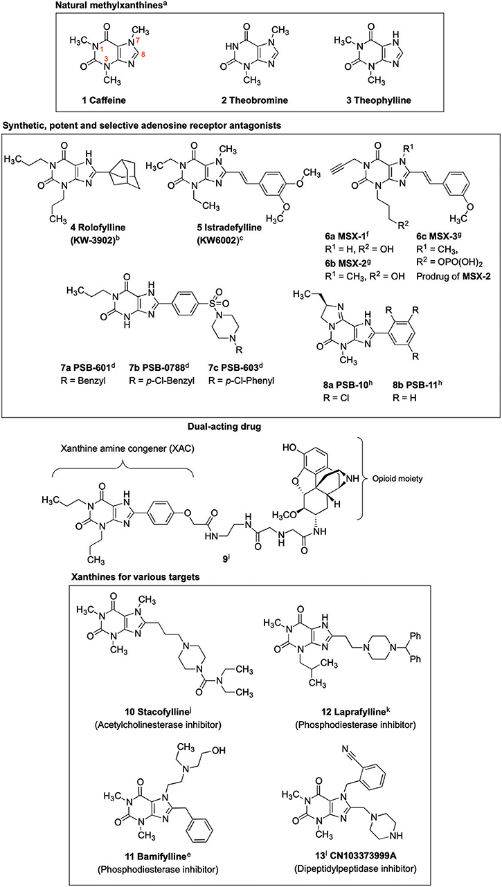 Adenosine Receptor Antagonists: Translating Medicinal Chemistry and  Pharmacology into Clinical Utility