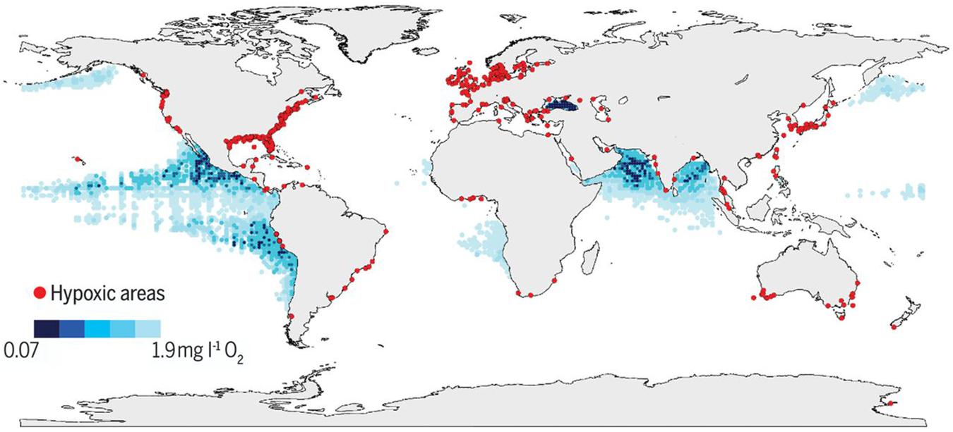 Концентрация нефтепродуктов в мировом океане карта