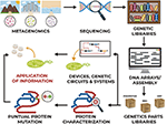 Frontiers | Metabolic Engineering And Synthetic Biology: Synergies ...