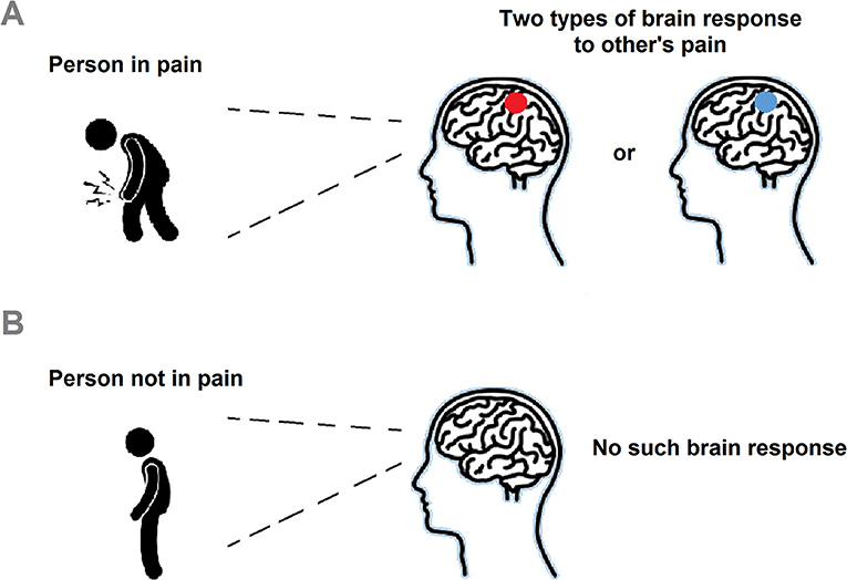 图1 - S1大脑回应他人的痛苦。