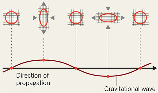 איור 2 - גלי גרביטציה מתקדמים במהירות האור.