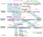 Frontiers | Characterization of a NDM-1- Encoding Plasmid pHFK418-NDM ...