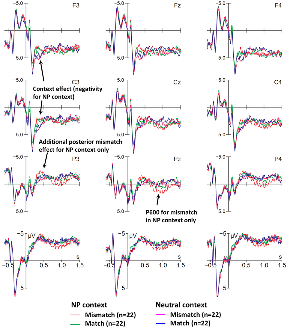 Frontiers Eliciting Erp Components For Morphosyntactic Agreement