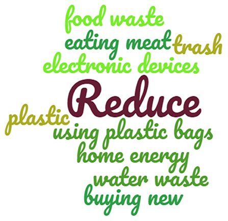 Figure 1 - Word cloud showing the key actions that can be taken to reduce our ecological footprint.