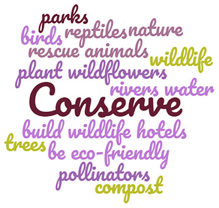 Figure 2 - Word cloud showing the key actions that can be taken to conserve nature.