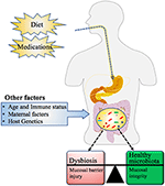 Frontiers | Vitamin D Deficiency In The Gulf Cooperation Council ...