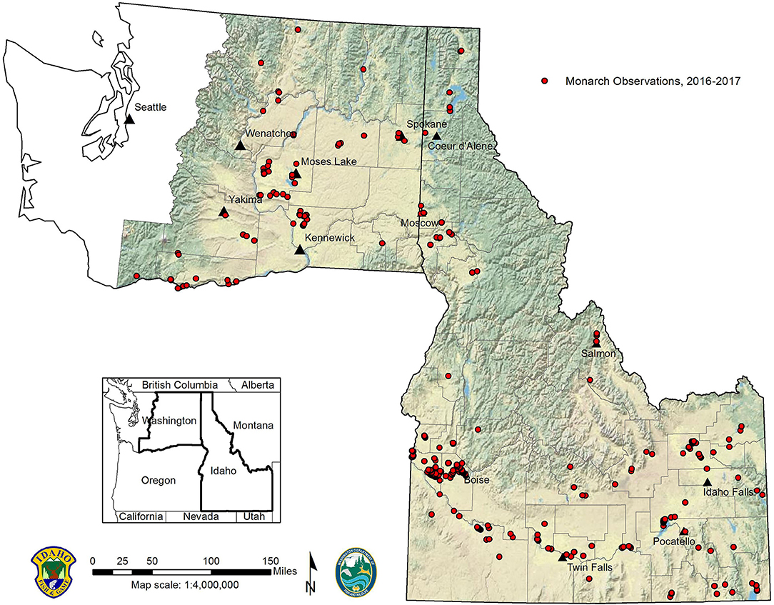Frontiers | Monarch Butterfly Distribution and Breeding Ecology in ...